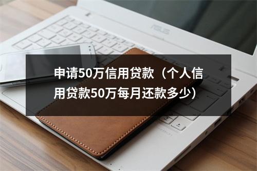 申请50万信用贷款（个人信用贷款50万每月还款多少）