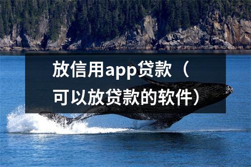 放信用app贷款（可以放贷款的软件）