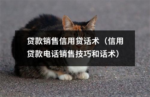 贷款销售信用贷话术（信用贷款电话销售技巧和话术）