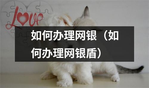如何办理网银（如何办理网银盾）