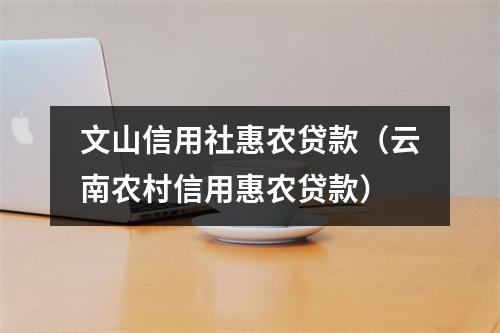 文山信用社惠农贷款（云南农村信用惠农贷款）