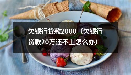 欠银行贷款2000（欠银行贷款20万还不上怎么办）