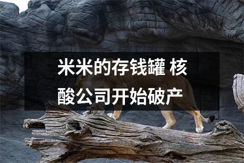 米米的存钱罐 核酸公司开始破产