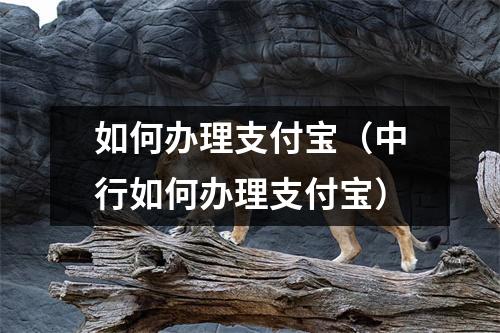如何办理支付宝（中行如何办理支付宝）