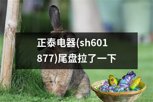 正泰电器(sh601877)尾盘拉了一下