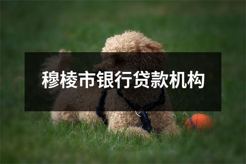 穆棱市银行贷款机构