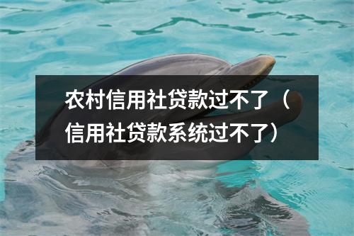 农村信用社贷款过不了（信用社贷款系统过不了）