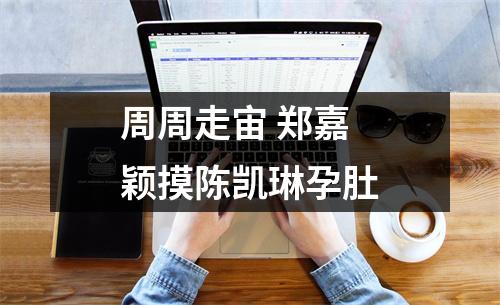 周周走宙 郑嘉颖摸陈凯琳孕肚