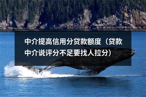 中介提高信用分贷款额度（贷款中介说评分不足要找人拉分）