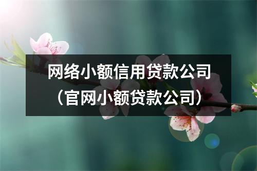 网络小额信用贷款公司（官网小额贷款公司）