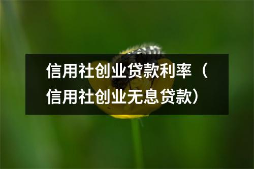 信用社创业贷款利率（信用社创业无息贷款）