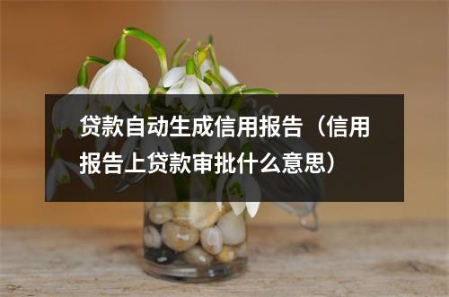 贷款自动生成信用报告（信用报告上贷款审批什么意思）