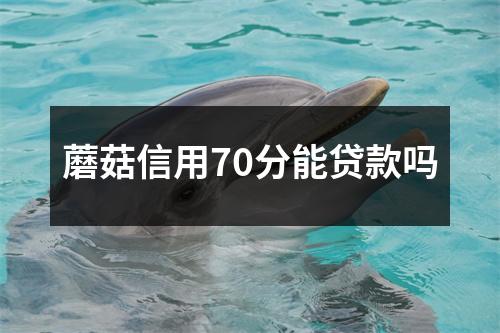 蘑菇信用70分能贷款吗