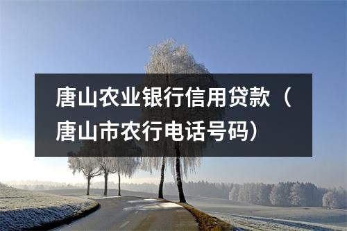 唐山农业银行信用贷款（唐山市农行电话号码）