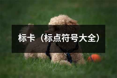 标卡(标点符号大全)