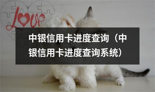 中银信用卡进度查询（中银信用卡进度查询系统）