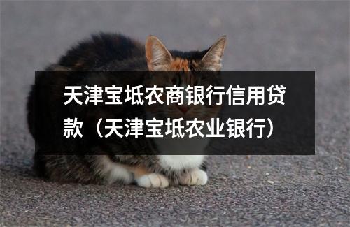 天津宝坻农商银行信用贷款（天津宝坻农业银行）