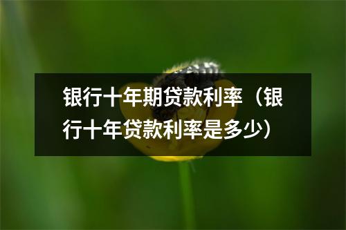银行十年期贷款利率（银行十年贷款利率是多少）