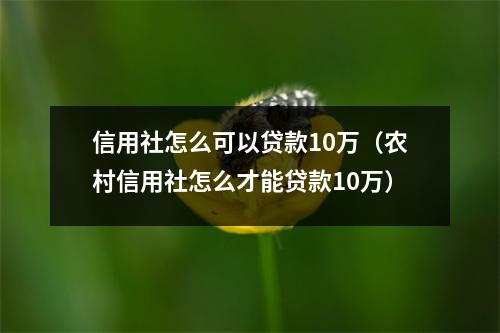 信用社怎么可以贷款10万（农村信用社怎么才能贷款10万）