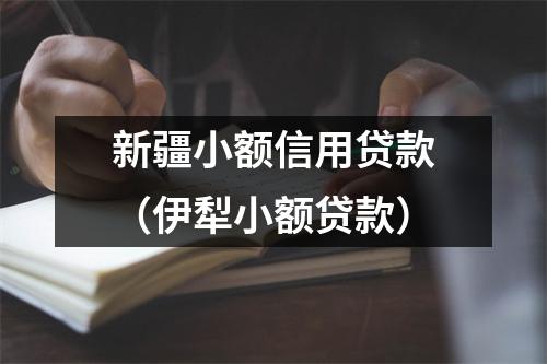 新疆小额信用贷款(伊犁小额贷款)