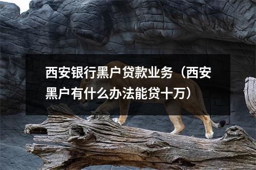 西安银行黑户贷款业务（西安黑户有什么办法能贷十万）