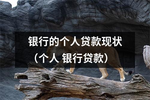 银行的个人贷款现状（个人 银行贷款）
