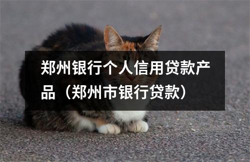 郑州银行个人信用贷款产品(郑州市银行贷款)