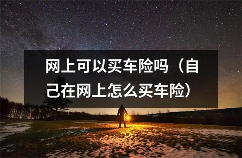 网上可以买车险吗（自己在网上怎么买车险）