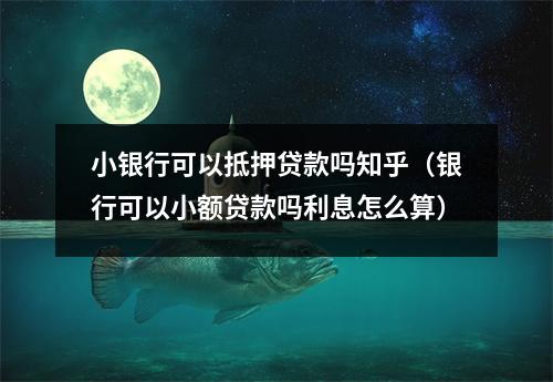 小银行可以抵押贷款吗知乎（银行可以小额贷款吗利息怎么算）