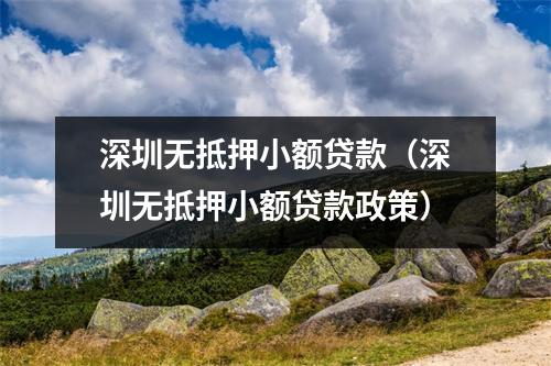 深圳无抵押小额贷款（深圳无抵押小额贷款政策）