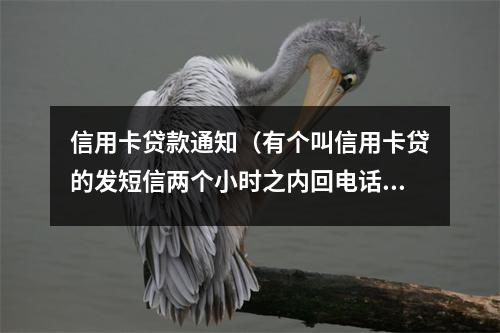 信用卡贷款通知（有个叫信用卡贷的发短信两个小时之内回电话）
