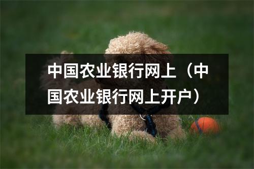 中国农业银行网上（中国农业银行网上开户）