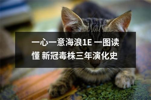 一心一意海浪1E 一图读懂 新冠毒株三年演化史