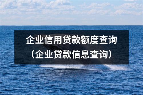 企业信用贷款额度查询（企业贷款信息查询）