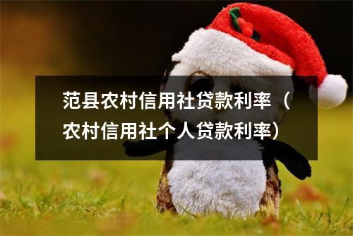 范县农村信用社贷款利率（农村信用社个人贷款利率）