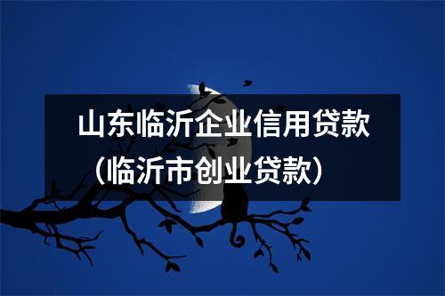 山东临沂企业信用贷款(临沂市创业贷款)