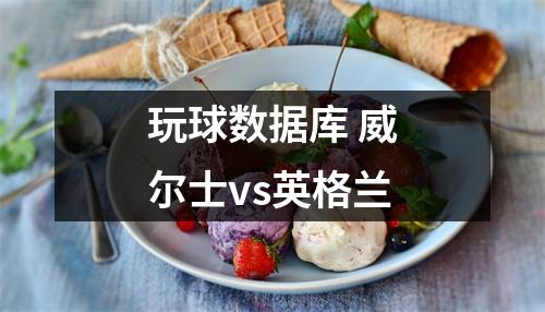 玩球数据库 威尔士vs英格兰