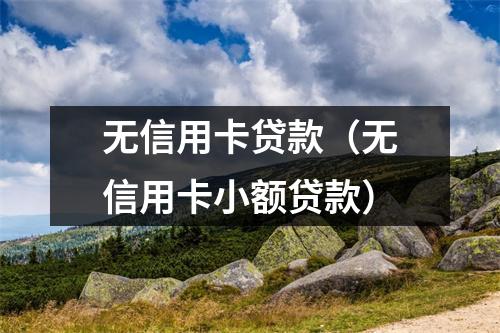无信用卡贷款(无信用卡小额贷款)