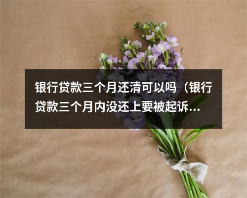 银行贷款三个月还清可以吗（银行贷款三个月内没还上要被起诉吗?）