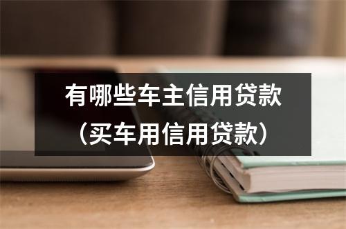 有哪些车主信用贷款（买车用信用贷款）
