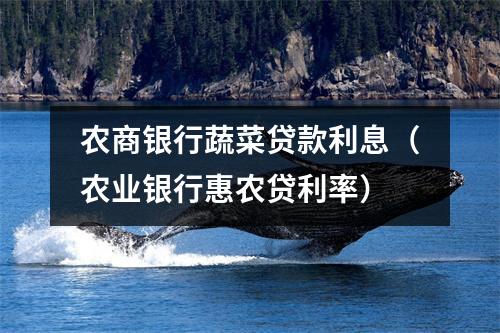 农商银行蔬菜贷款利息（农业银行惠农贷利率）
