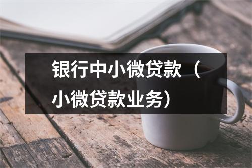 银行中小微贷款（小微贷款业务）