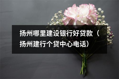 扬州哪里建设银行好贷款（扬州建行个贷中心电话）