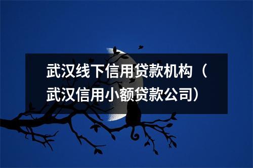 武汉线下信用贷款机构（武汉信用小额贷款公司）