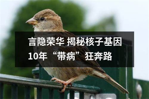 言隐荣华 揭秘核子基因10年“带病”狂奔路