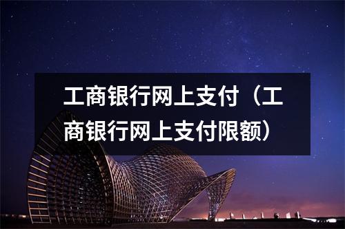 工商银行网上支付（工商银行网上支付限额）