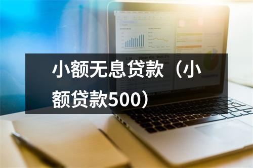 小额无息贷款（小额贷款500）