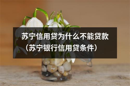 苏宁信用贷为什么不能贷款（苏宁银行信用贷条件）