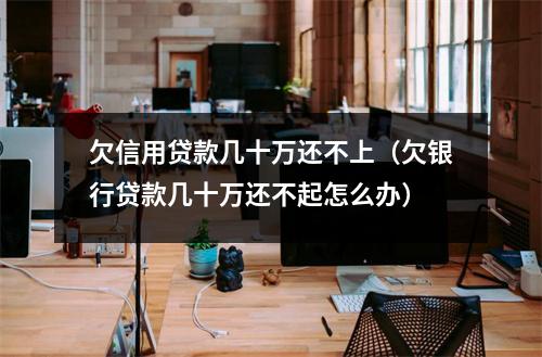 欠信用贷款几十万还不上(欠银行贷款几十万还不起怎么办)