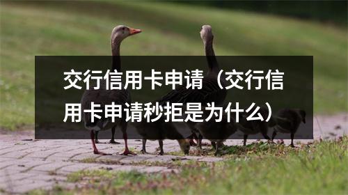 交行信用卡申请（交行信用卡申请秒拒是为什么）